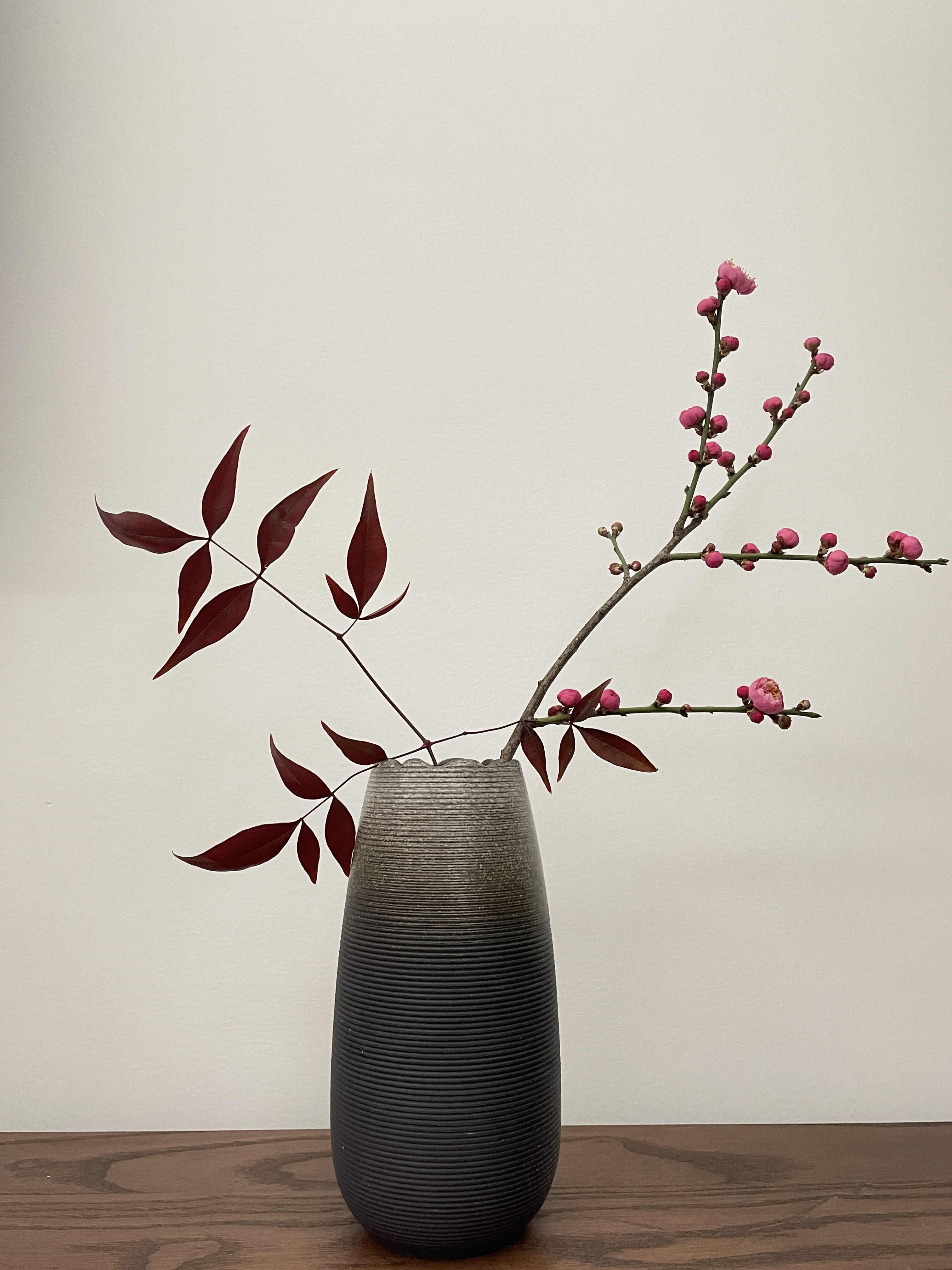 ��ζ������÷���� Ҧ˧.jpg